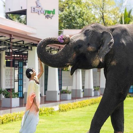Elephyard Retreat Hotel มหิยันกานา ภายนอก รูปภาพ