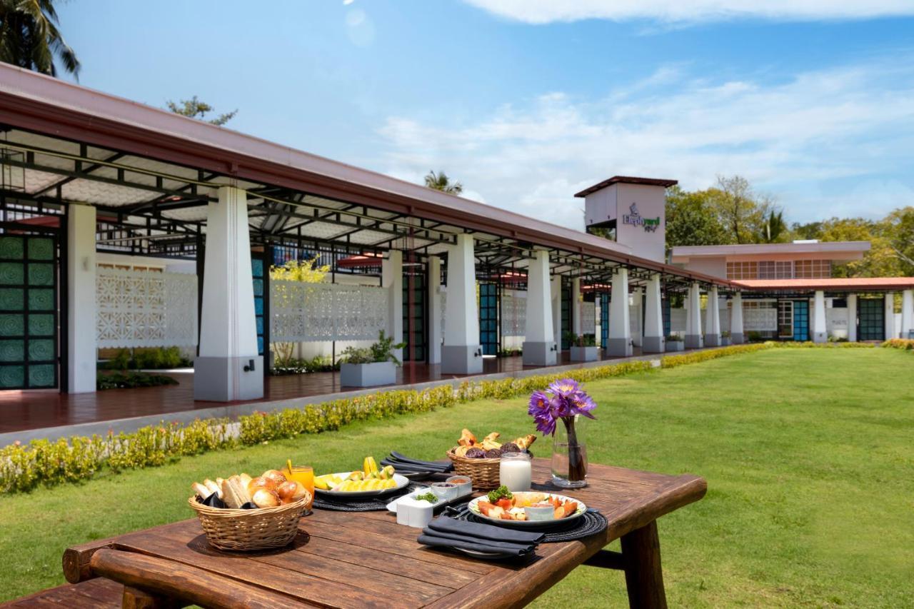 Elephyard Retreat Hotel มหิยันกานา ภายนอก รูปภาพ