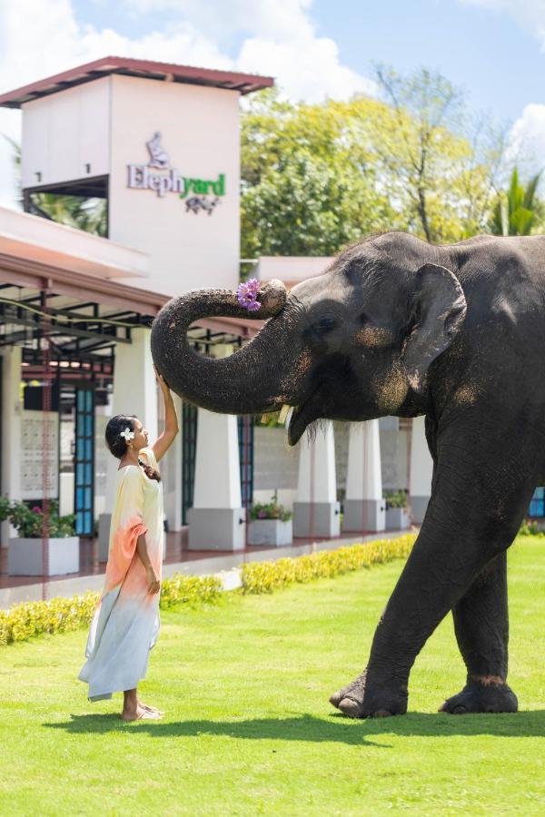 Elephyard Retreat Hotel มหิยันกานา ภายนอก รูปภาพ